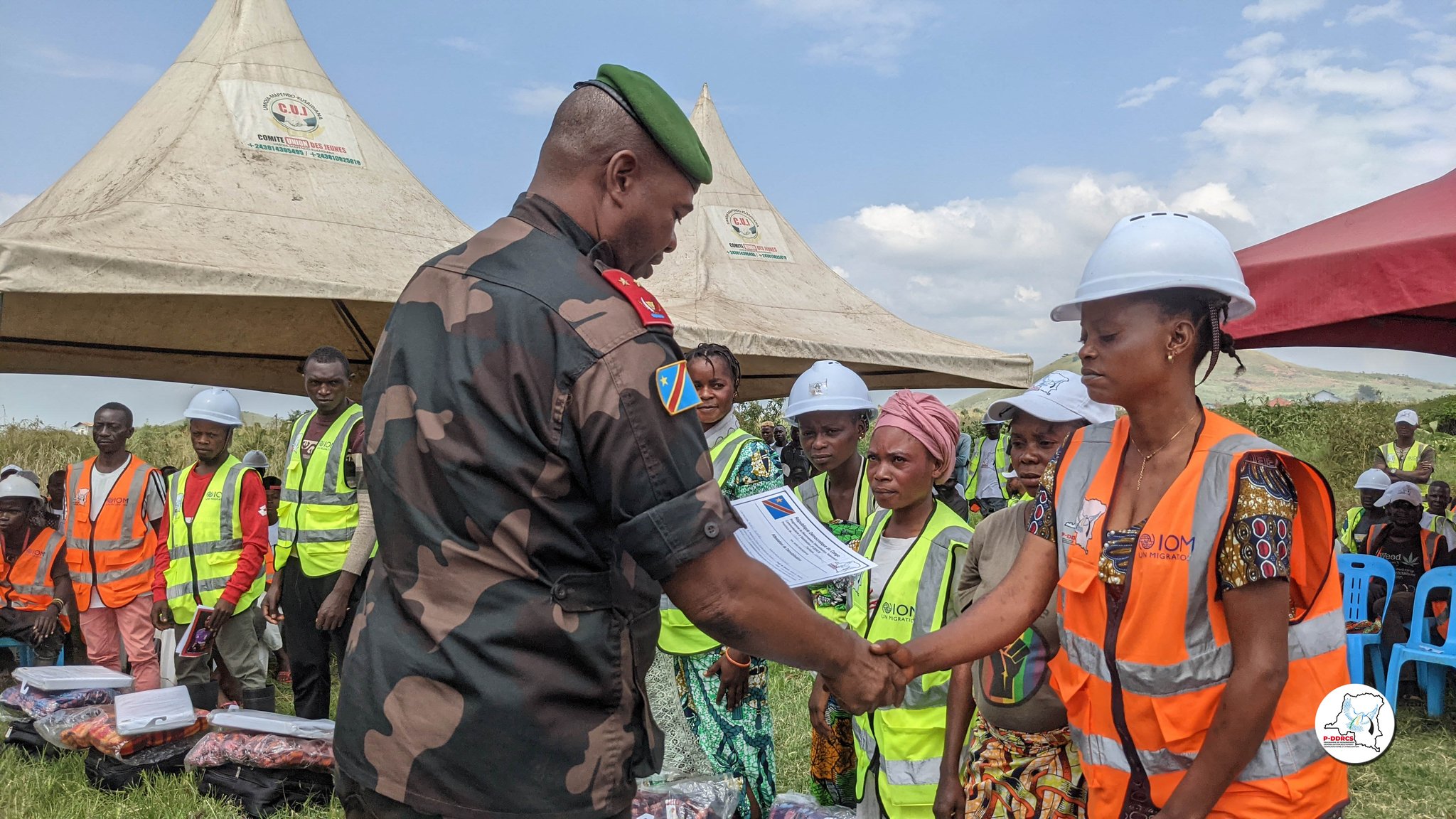 Les Acteurs Clés du P-DDRCS